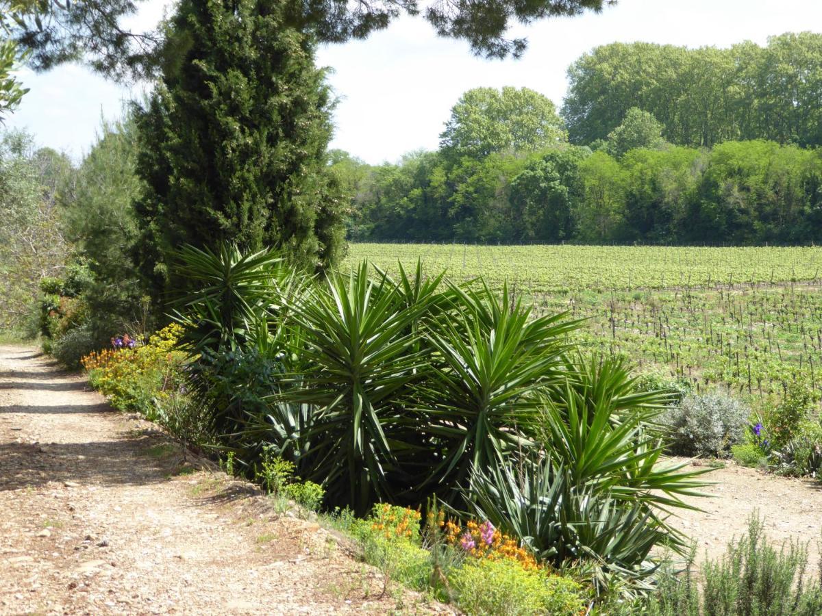 Domaine De L'Herbe Sainte Mirepeisset 외부 사진