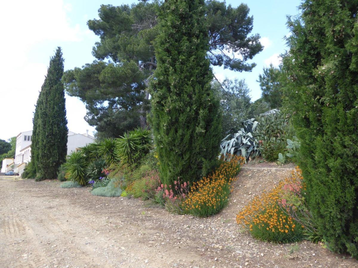 Domaine De L'Herbe Sainte Mirepeisset 외부 사진
