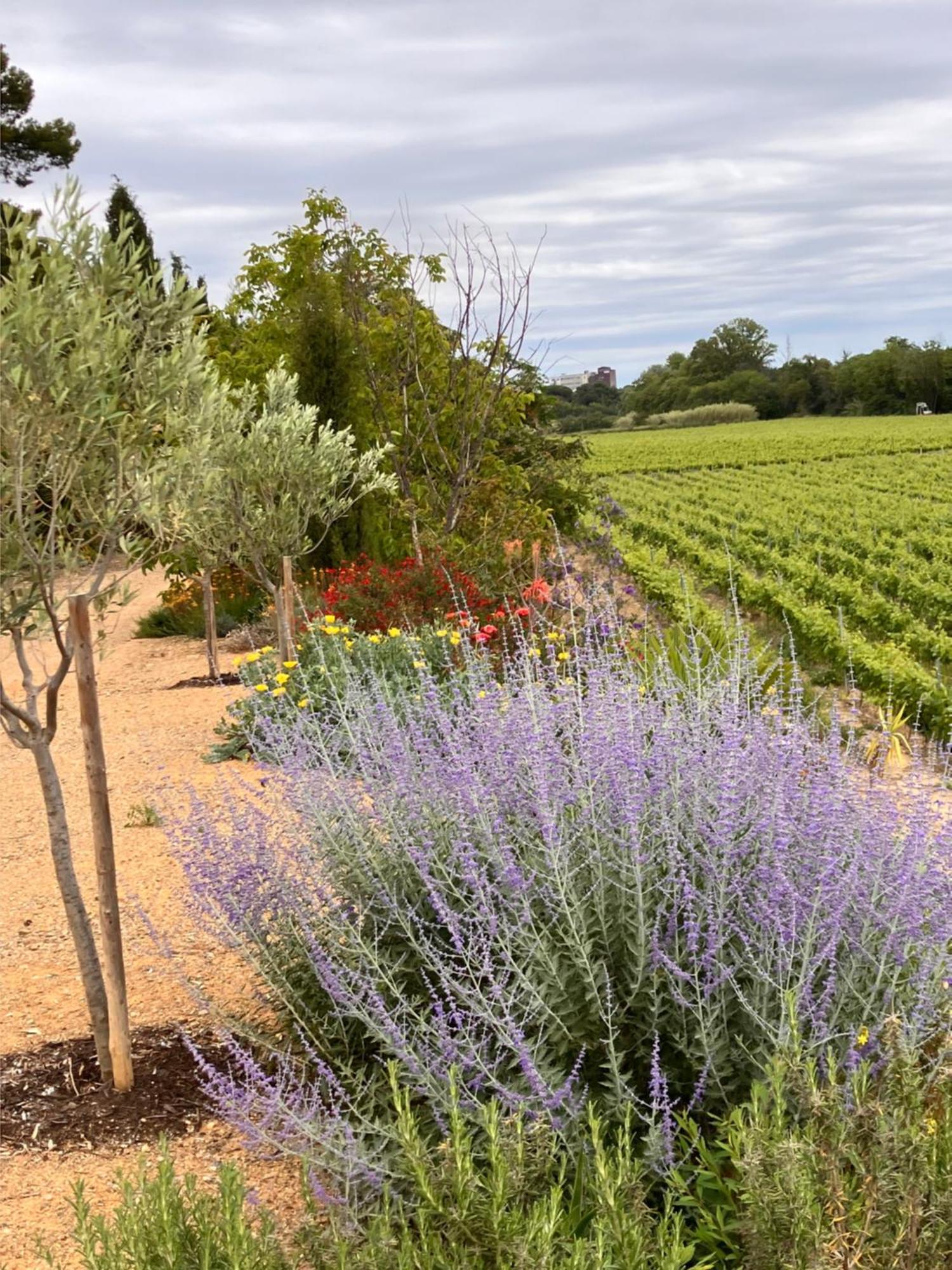Domaine De L'Herbe Sainte Mirepeisset 외부 사진