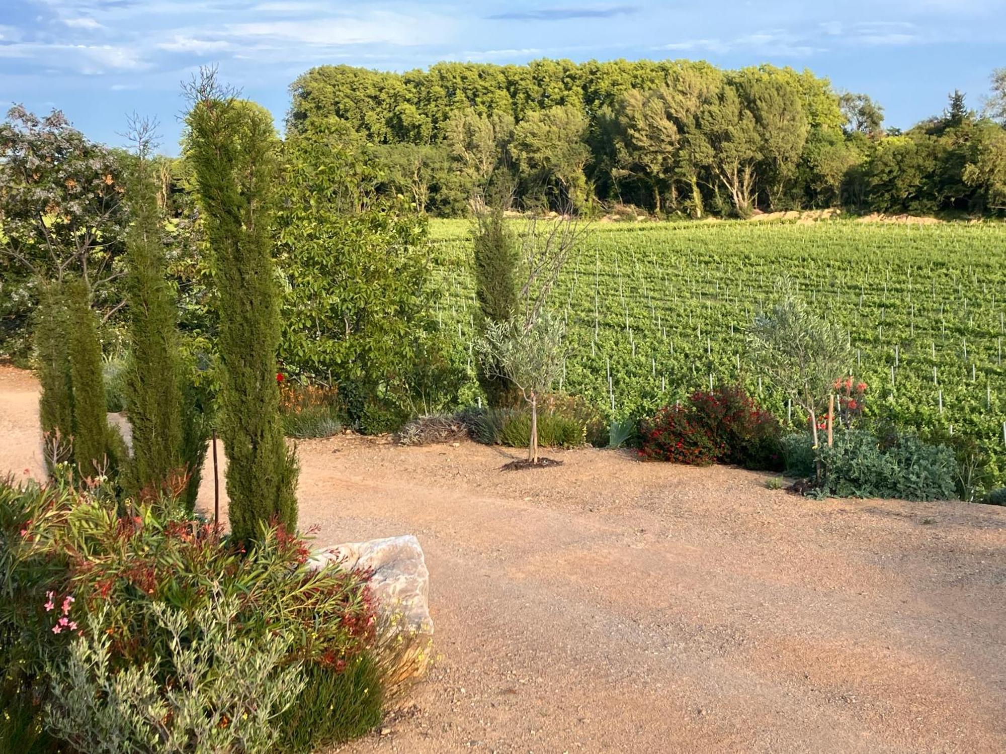 Domaine De L'Herbe Sainte Mirepeisset 외부 사진